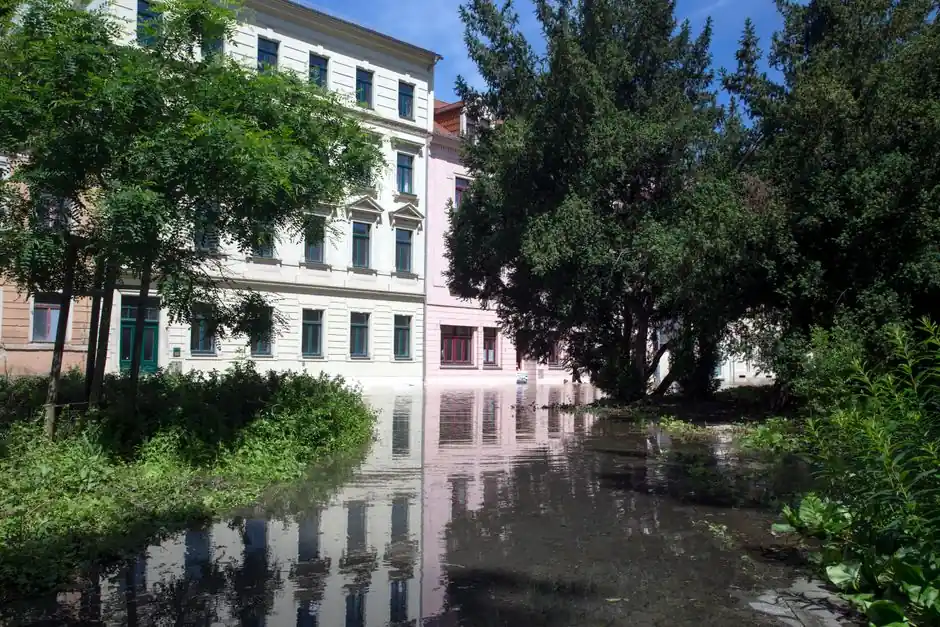 Sunlit flooded street lined with historical buildings and lush greenery.